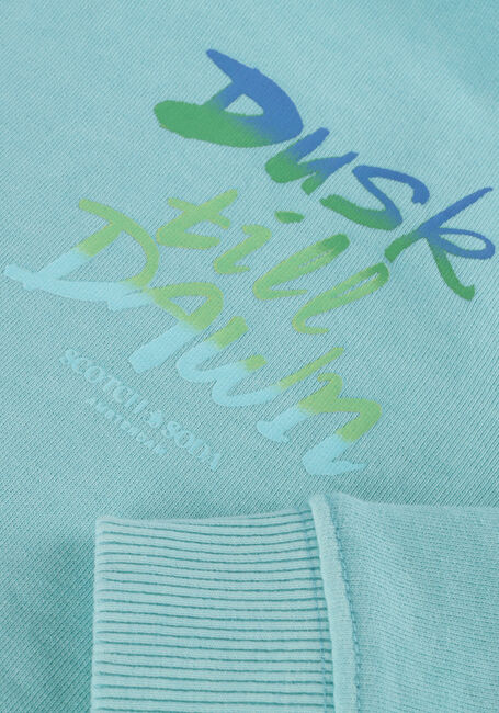 Blauwe SCOTCH & SODA Sweater RELAXED FIT ARTWORK HOODIE WHIT WASHING IN ORGANIC COTTON - large
