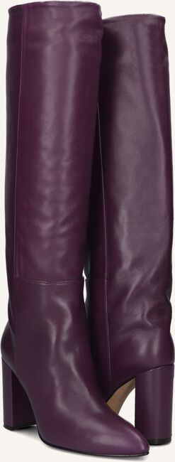 Paarse TORAL  12591 Paarse TORAL  12591 - large