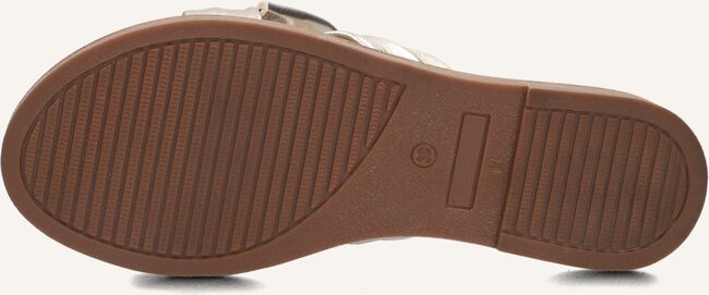 TANGO AUDREY 1 TANGO AUDREY 1 - large