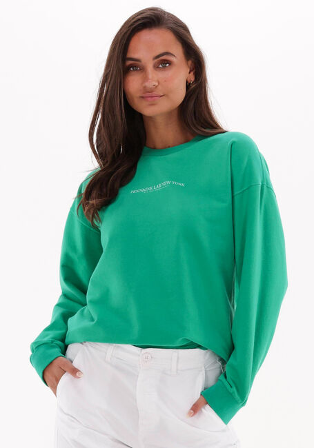 PENN & INK Chandail S22F1103LAB en vert - large