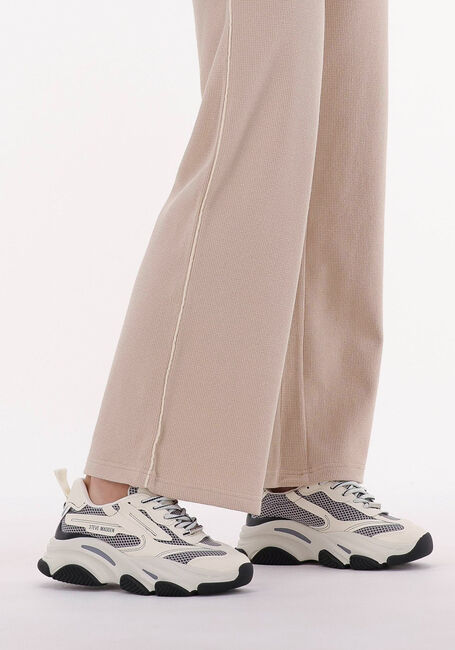 STEVE MADDEN Baskets basses POSSESSION en beige - large