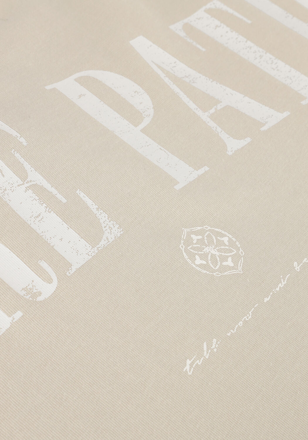 PURE PATH T-shirt TSHIRT WITH BACK PRINT AND SMALL FRONTPRINT Sable - large