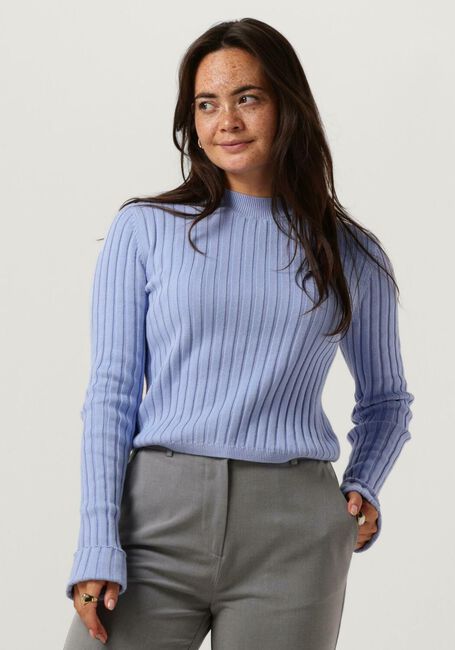 Lichtblauwe TOMMY JEANS Trui BXY RIB SWEATER - large