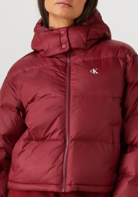 CALVIN KLEIN Veste matelassé ESSENTIAL MIDWEIGHT PUFFER JACKE Bordeaux - large