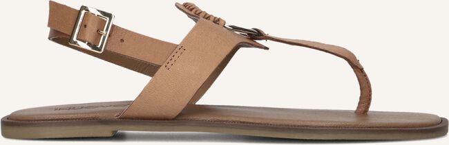Bruine INUOVO Sandalen 981058 Bruine INUOVO Sandalen 981058 - large