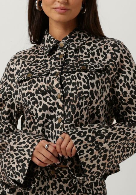 HARPER & YVE Jack LEXIE-JA en marron - large