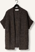 NUKUS Gilet BESS CARDIGAN en marron NUKUS Gilet BESS CARDIGAN en marron - medium