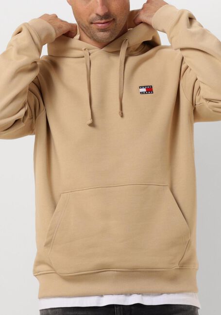 TOMMY JEANS Chandail TJM REG BADGE HOODIE en beige - large