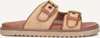 Bruine MEXX Slippers REILLY PENNY - medium