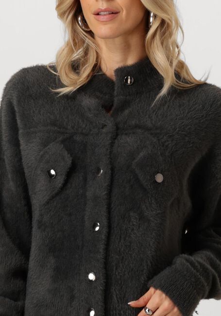 JANSEN AMSTERDAM Gilet P263 VEST BENJA en gris - large