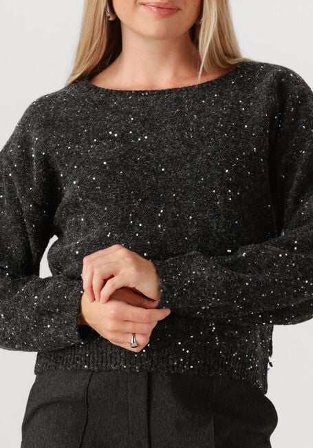 JANSEN AMSTERDAM Pull ANOUK TRUI HK 151 ROUND NECKLINE Gris foncé - large