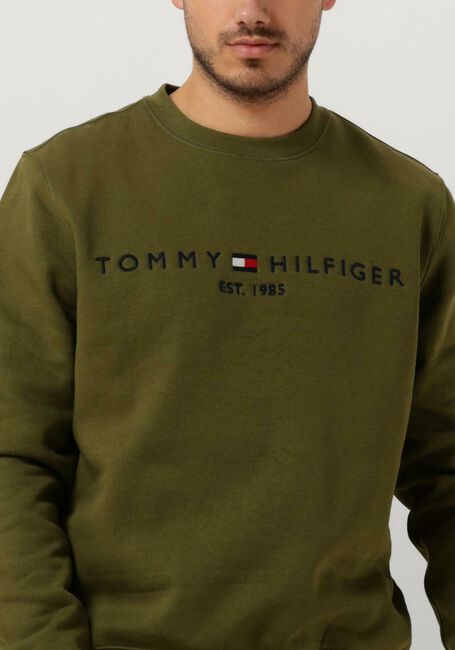 TOMMY HILFIGER Chandail TOMMY LOGO SWEATSHIRT Vert foncé - large