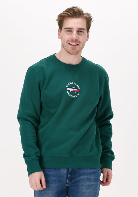 TOMMY JEANS Chandail TJM TIMELESS TOMMY 2 CREW en vert - large
