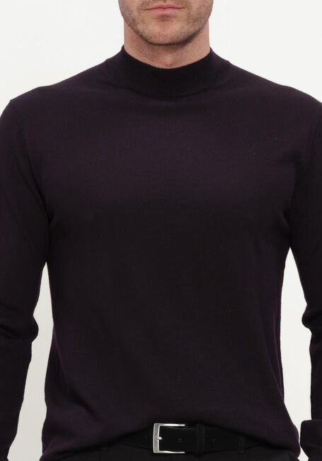 STEFANO LAURAN Pull TURTLE NECK MERINO Bordeaux - large