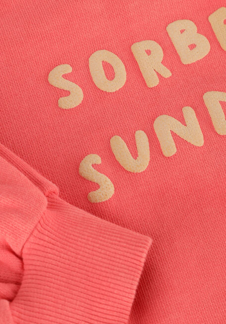 Roze Sproet & Sprout Truien/vesten CROPPED HOODED SWEATSHIRT - large