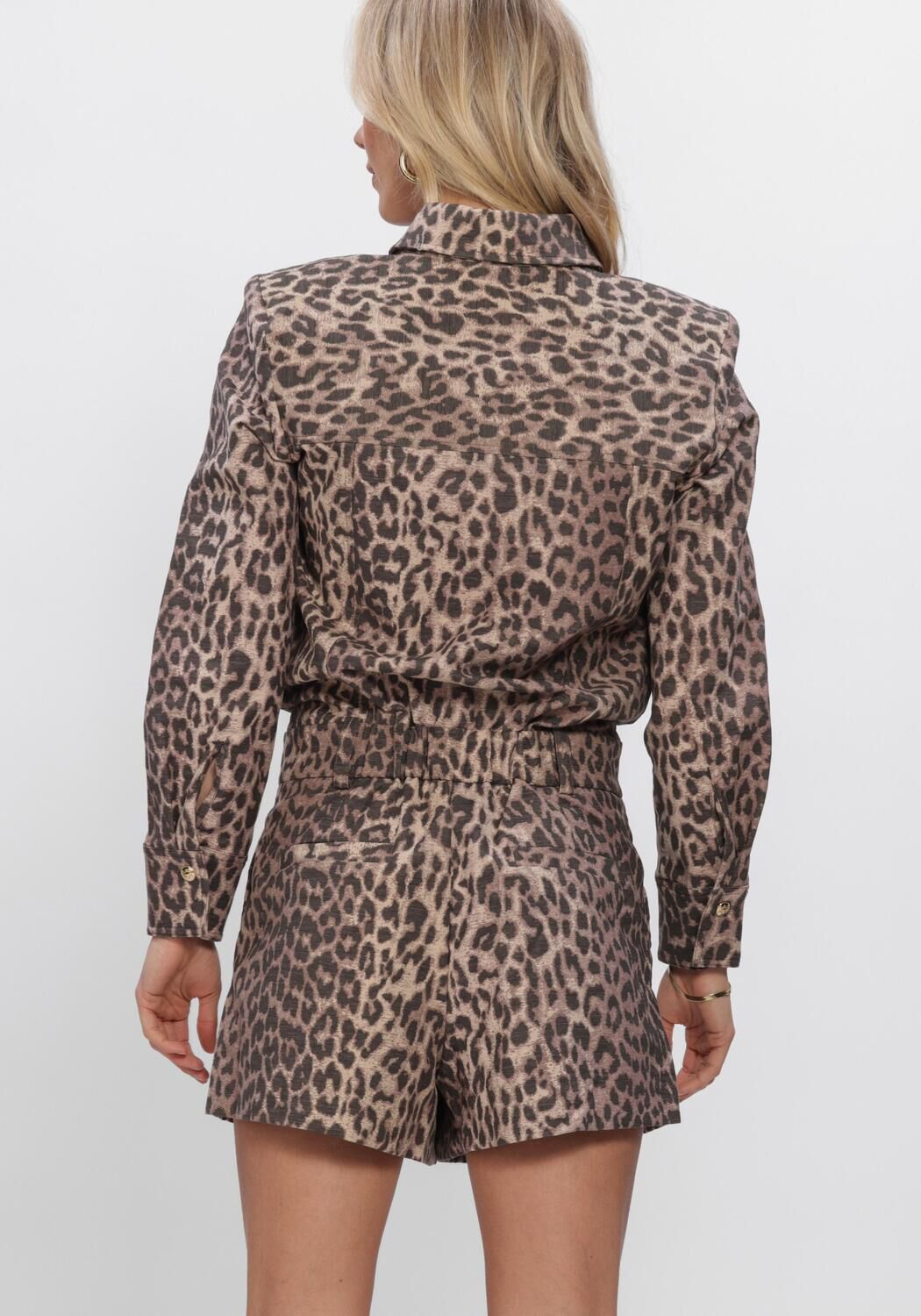 Bruine JOSH V  LILAE - large