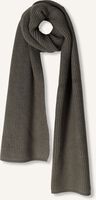 Grijze MSCH COPENHAGEN Sjaal MSCHGALINE RACHELLE SCARF KEY Grijze MSCH COPENHAGEN Sjaal MSCHGALINE RACHELLE SCARF KEY - medium