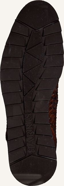 Cognac HARRIS Sneakers 5339 Cognac HARRIS Sneakers 5339 - large