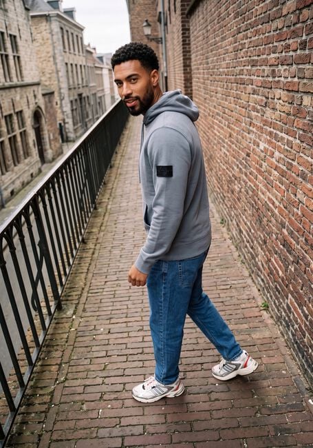 Grijze CALVIN KLEIN Trui LS EU 350TERRY BADGE HOODIE - large