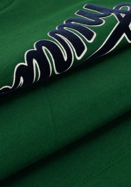 TOMMY HILFIGER T-shirt TH COLLEGE 85 TEE S/S Vert foncé - large