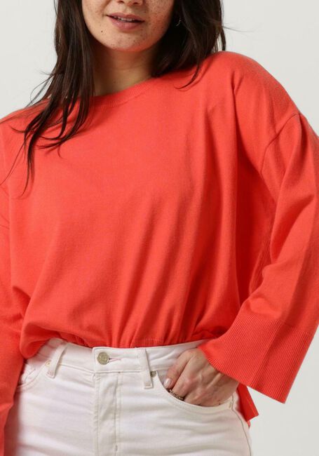 Roze MSCH COPENHAGEN Trui DALINDA RACHELLE PULLOVER - large