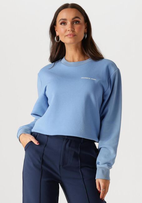 COLOURFUL REBEL Chandail LOGO CIRCLE RELAXED SWEAT Bleu clair - large