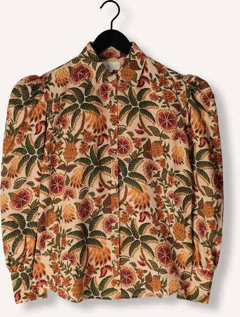 Multi NOTRE-V  NV-DINA Multi NOTRE-V  NV-DINA - large