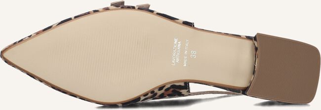 Bruine STEFANO LAURAN  MARIANNA Bruine STEFANO LAURAN  MARIANNA - large