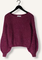 AMAYA AMSTERDAM ACE AMAYA AMSTERDAM ACE - medium