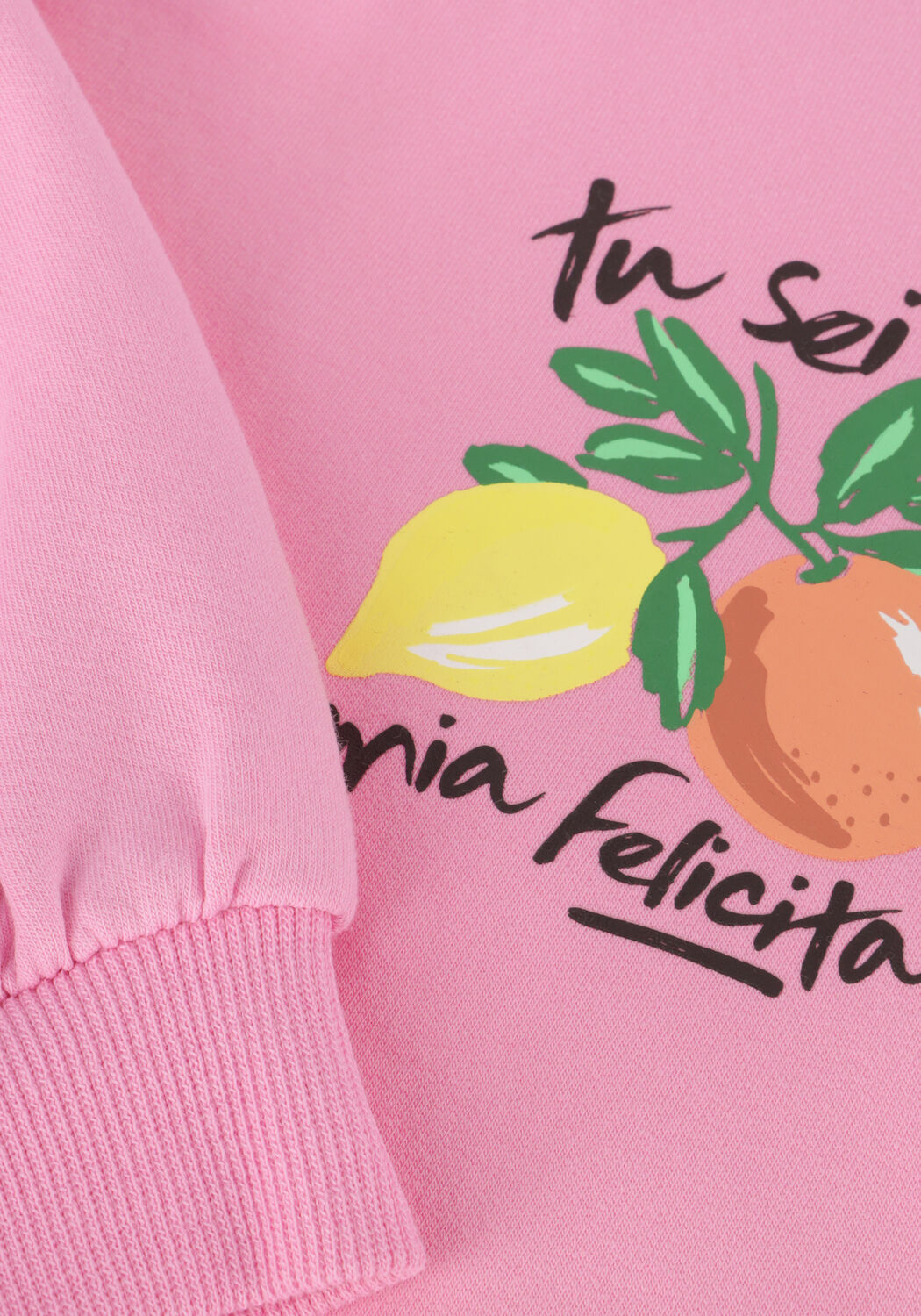 Roze Z8 Sweater MILENA - large