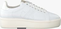 Witte NUBIKK Sneakers ELISE LACE PERFO - medium