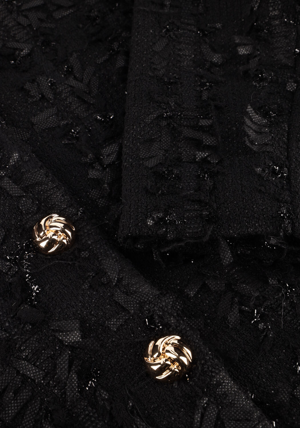 FREEBIRD Blazer LOBKE en noir - large