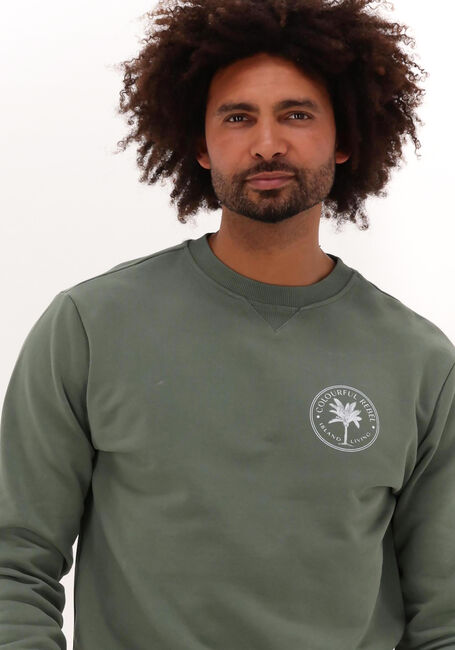 COLOURFUL REBEL Chandail ISLAND LIVING SMALL CHEST WASHED BASIC SWEAT en vert - large