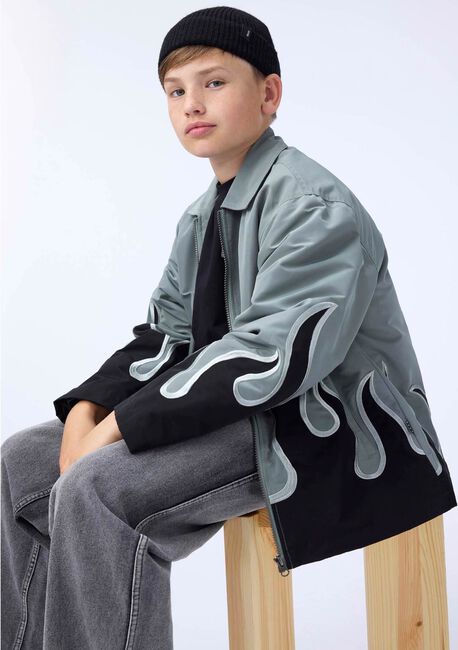 Grijze MOLO Jack HOTSON - large