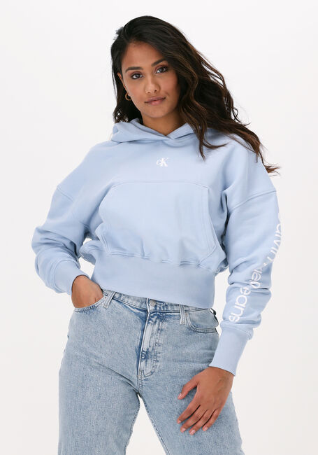 CALVIN KLEIN Chandail BACK TWO TONE MONOGRAM HOODIE Bleu clair - large