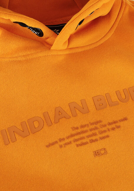 INDIAN BLUE JEANS Pull HOODIE INDIAN BLUE en jaune - large