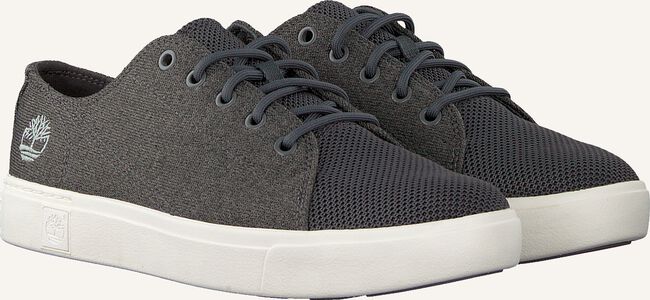 Grijze TIMBERLAND Lage sneakers AMHERST ALPINE KNIT Grijze TIMBERLAND Lage sneakers AMHERST ALPINE KNIT - large