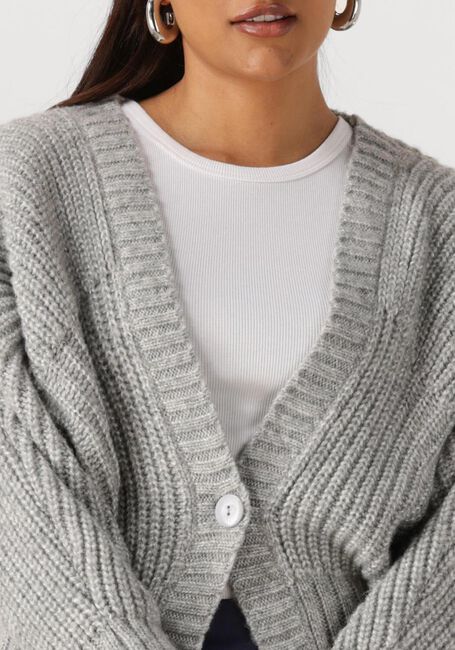 NUKUS Pull JOLIJN CARDIGAN en gris - large