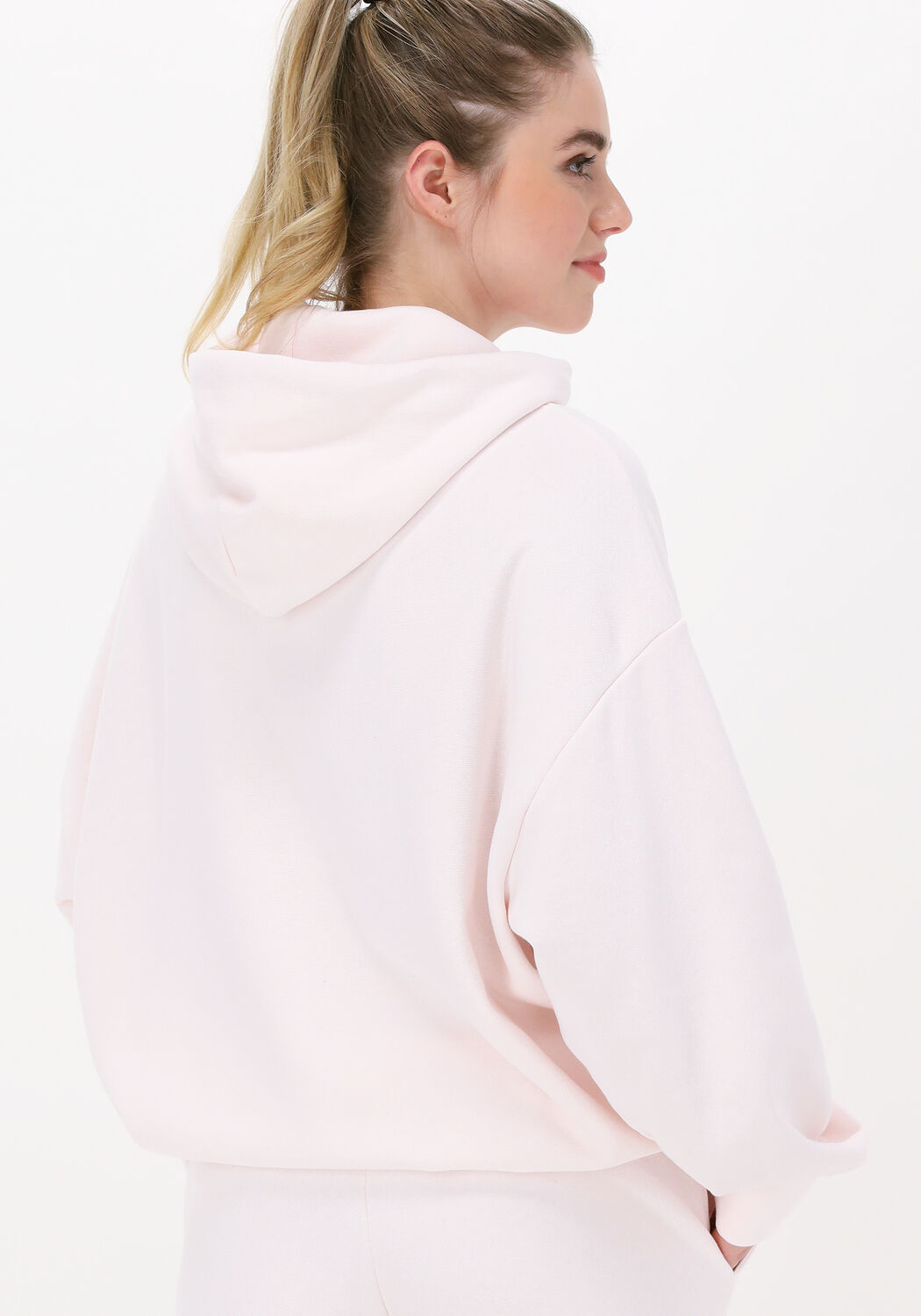 Pull champion cheap oversized