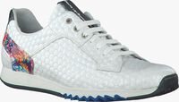 Witte FLORIS VAN BOMMEL Sneakers 14272 - medium