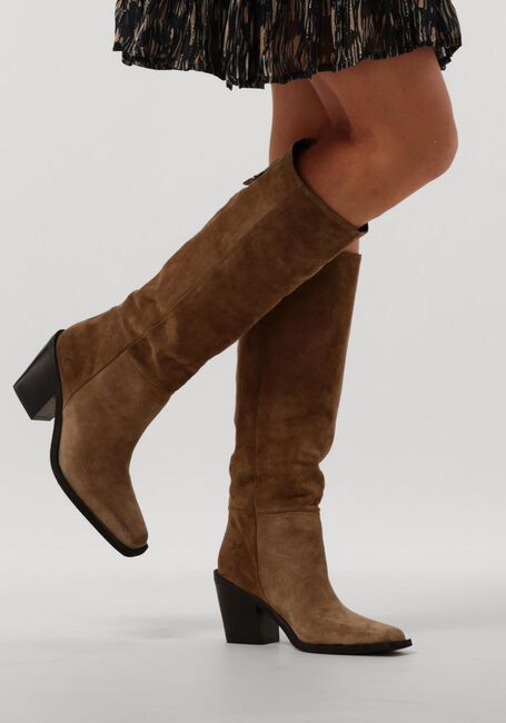 Taupe BLASZ  12 - large