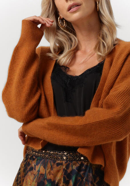 Bruine MES DEMOISELLES Vest CARI - large