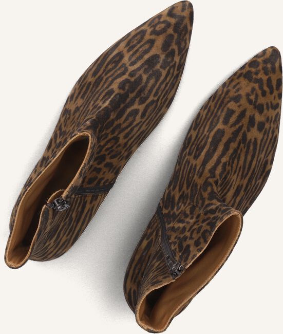 TORAL BELINDA TORAL BELINDA - large