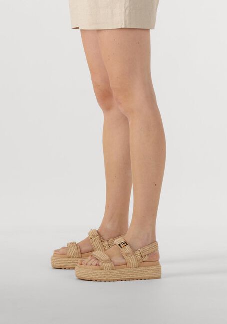 Beige STEVE MADDEN Sandalen BIGMONA - large