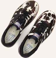 BACK70 CLOUD BACK70 CLOUD - medium