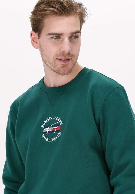 TOMMY JEANS Chandail TJM TIMELESS TOMMY 2 CREW en vert - large