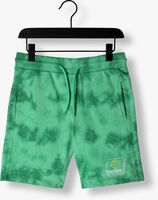 RAIZZED Pantalon courte BRANDON en vert - medium