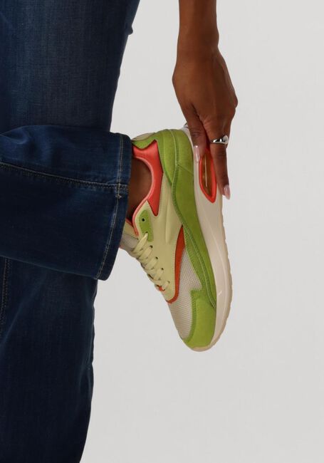 Multi THE HOFF BRAND Sneakers KINGKEY TOWER Multi THE HOFF BRAND Sneakers KINGKEY TOWER - large