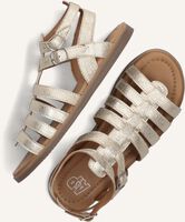 Gouden APPLES & PEARS Sandalen B0011328 Gouden APPLES & PEARS Sandalen B0011328 - medium