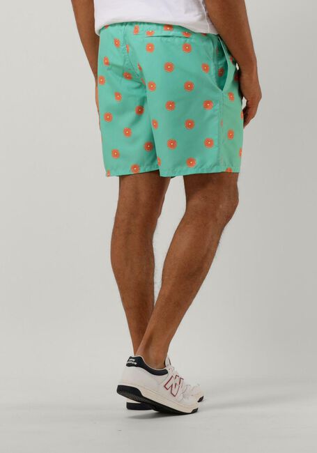 SHIWI Shorts de bain MEN SWIMSHORT CITRUS Menthe - large
